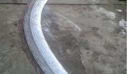 Bắt được 'thủy quái' có râu, giống rồng dài 3m ở Hà Tĩnh